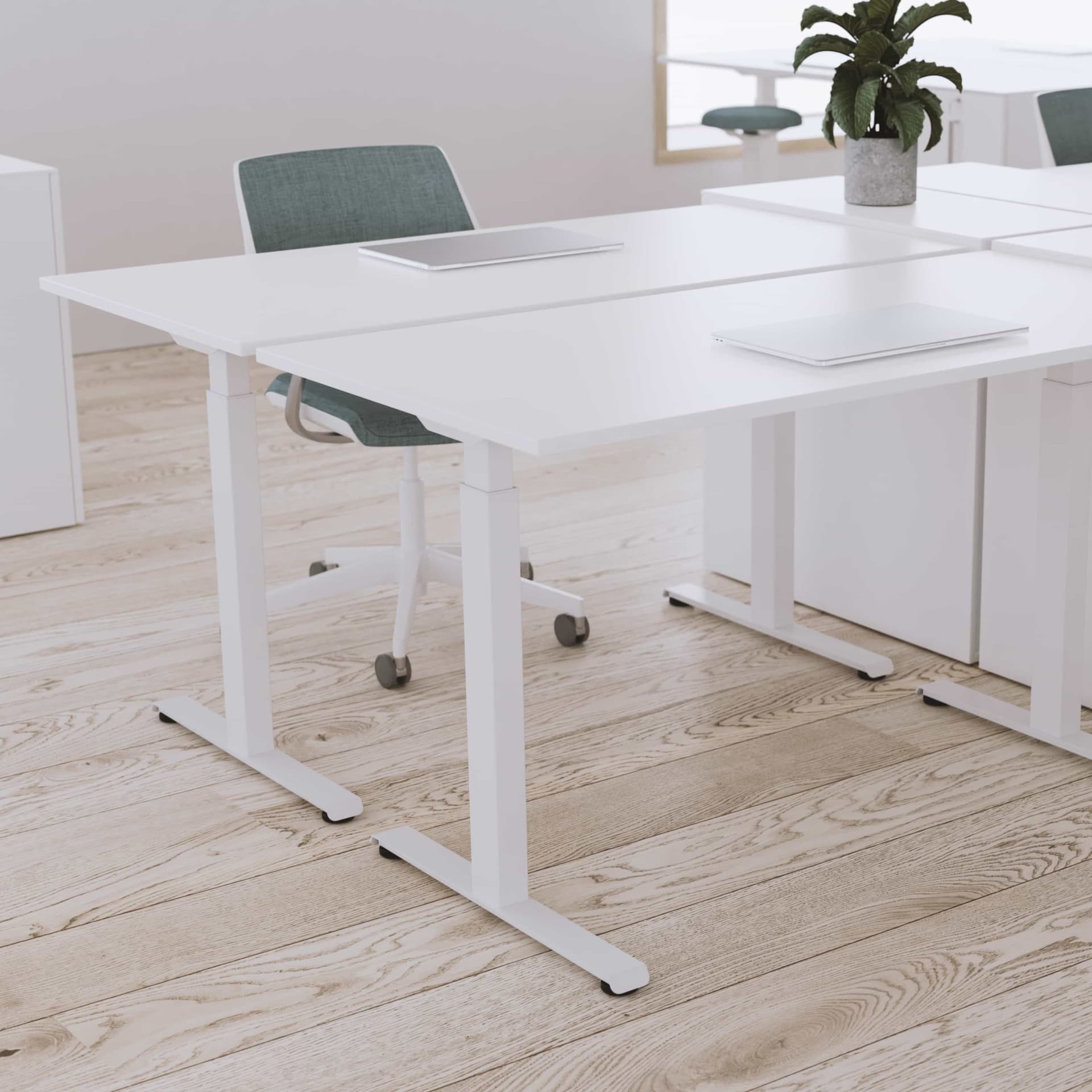 Elevate 2 - stativ med 2 motorer